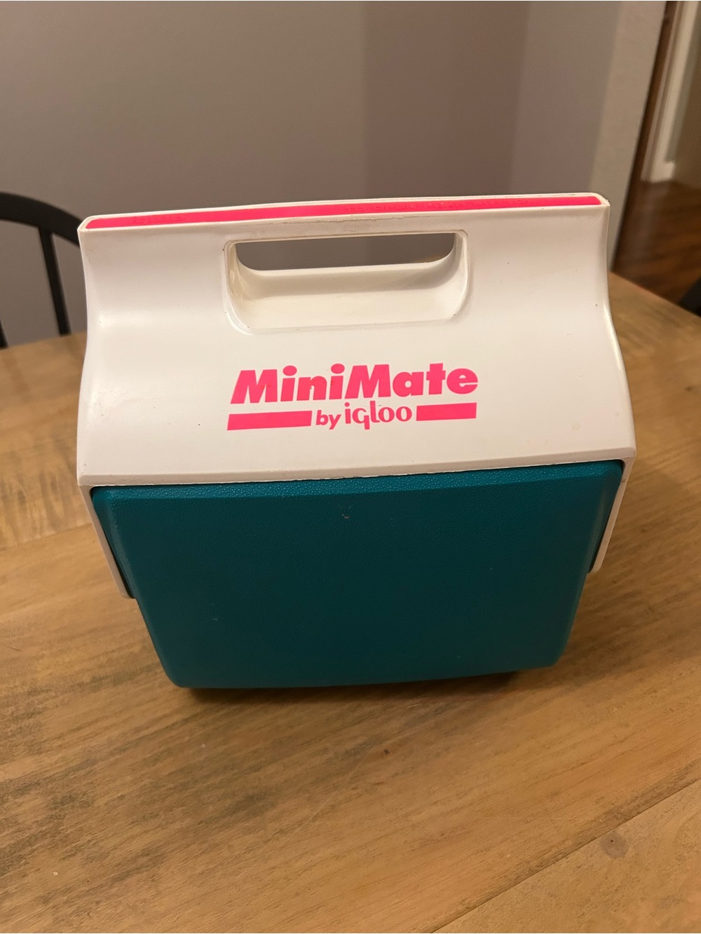 Vintage Igloo MiniMate Cooler - Retro White, Teal & Pink circa 1992